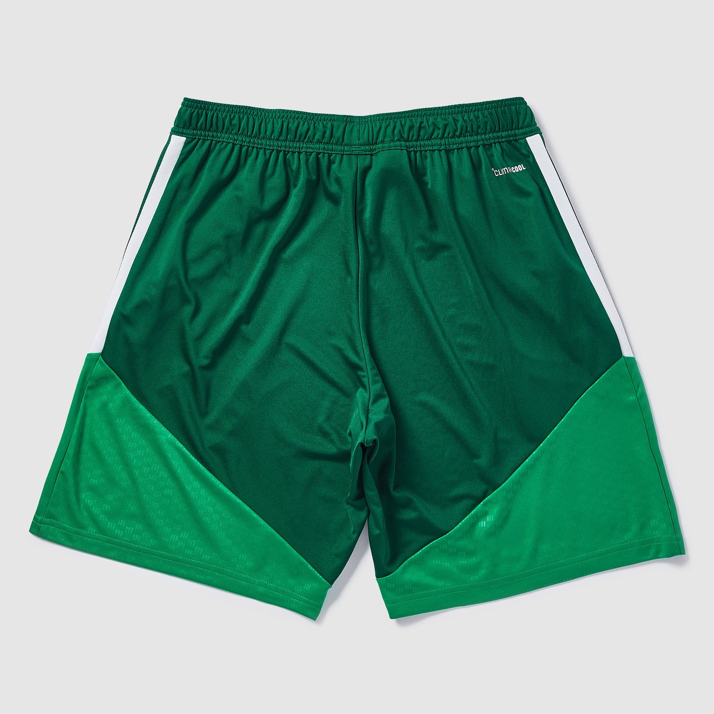 adidas Algeria 2026 Training Shorts