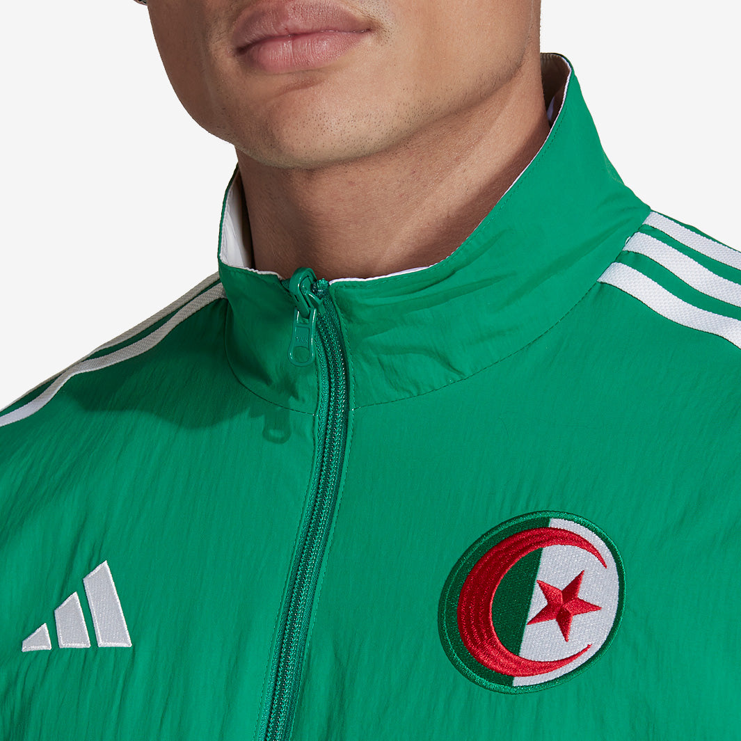 adidas Algeria 2022 World Cup Anthem Jacket