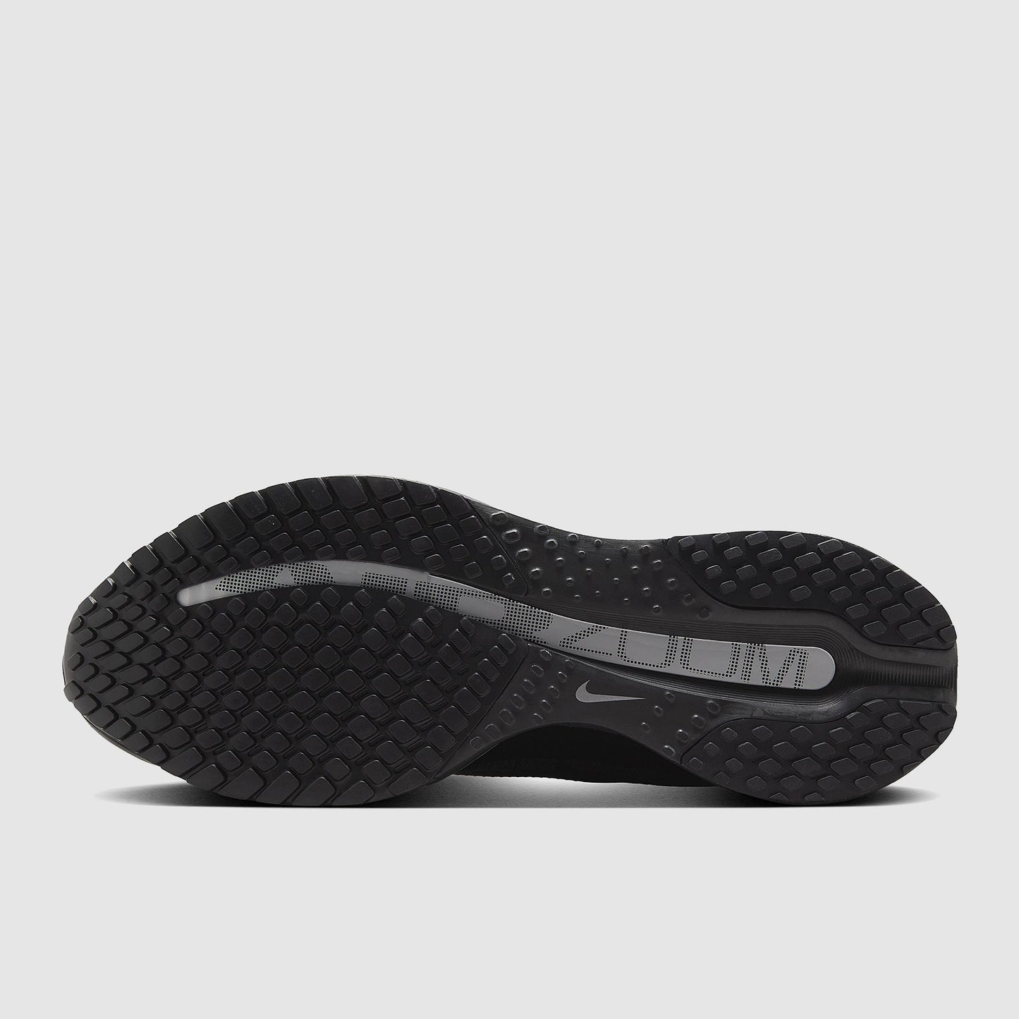 Nike Pegasus Premium